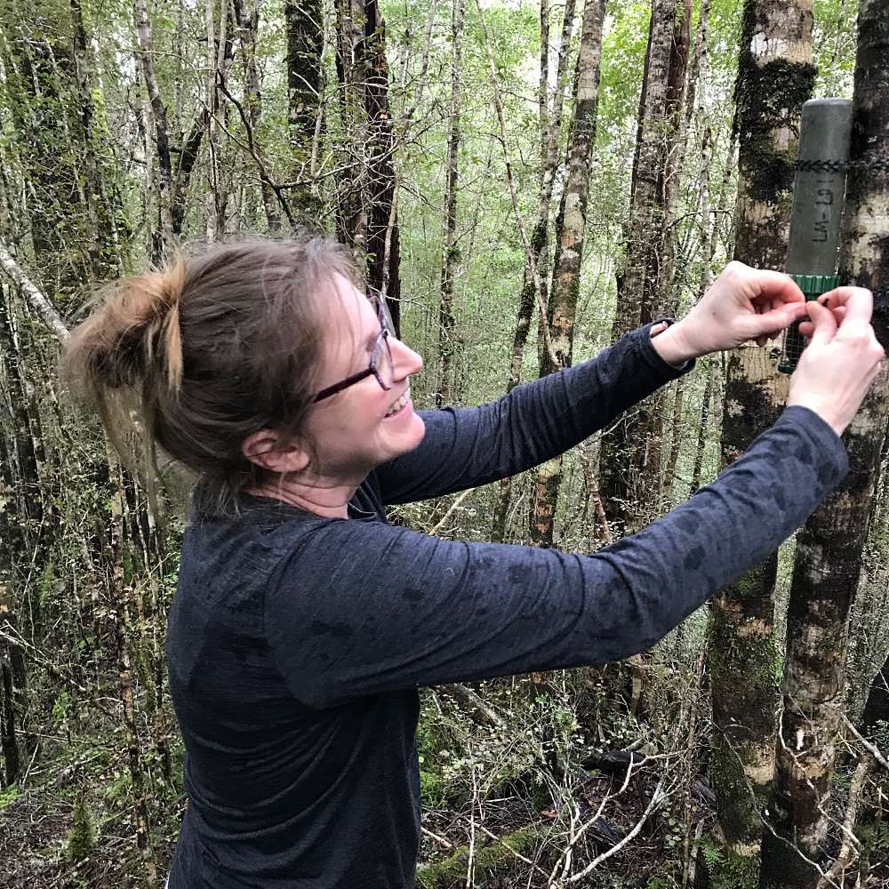 laura putting up a recorder for bioacoustic monitoring