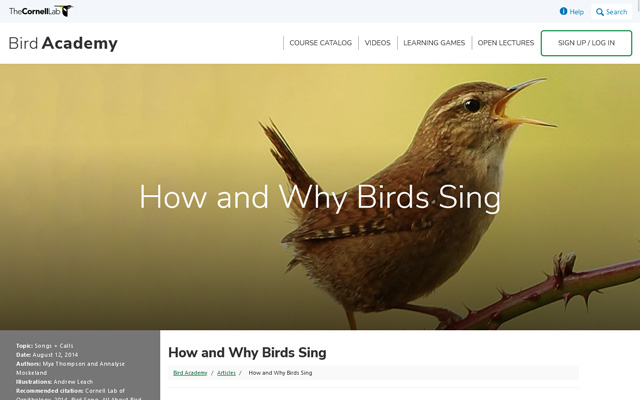 Article on how and why birds sing